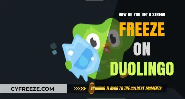 Mastering Duolingo: How to Get and Use Streak Freeze Effectively