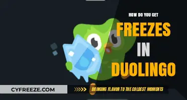 Mastering Duolingo Streaks: Understanding and Preventing Freezes in Your Learning Journey