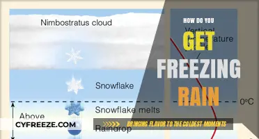 Understanding Freezing Rain: Causes, Formation, and Weather Conditions Explained