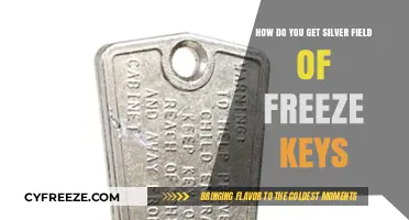 Unlocking Silver Field of Freeze Keys: A Comprehensive Guide