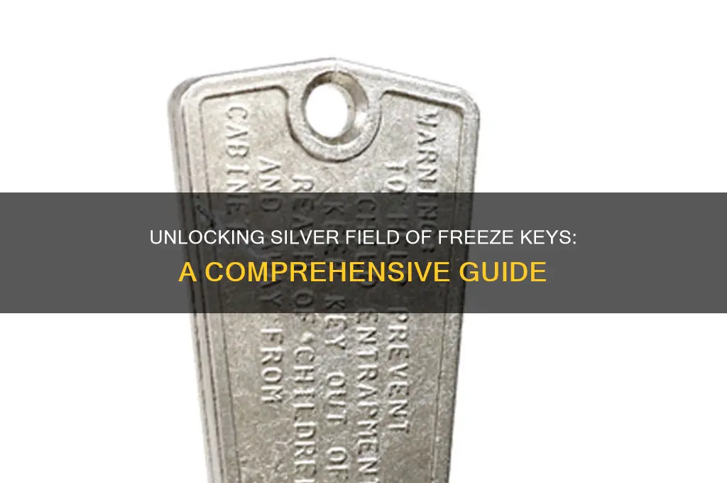 how do you get silver field of freeze keys