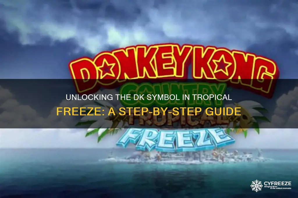 how do you get the dk symbol in tropical freeze