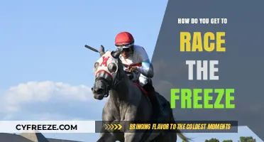Race the Freeze: Steps to Compete Against the Iconic Mascot