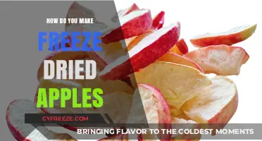 From Orchard to Pantry: The Simple Art of Freeze-Drying Apples