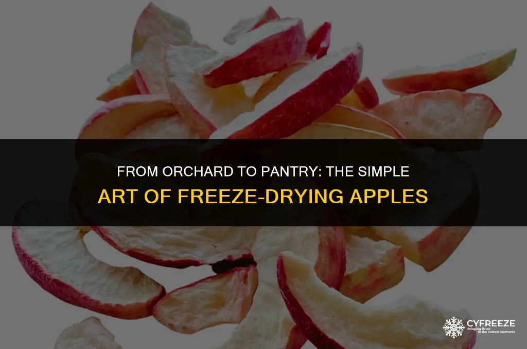 how do you make freeze dried apples