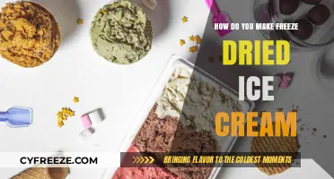 Delicious Freeze-Dried Ice Cream: A Simple Homemade Guide