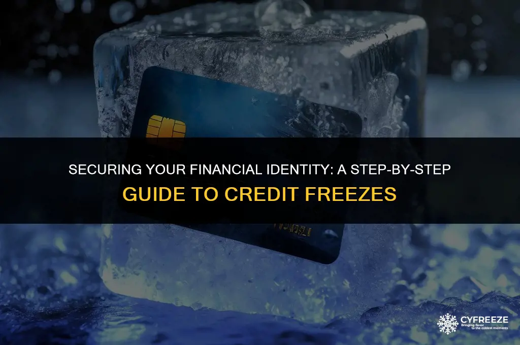 how do you put a credit freeze on your accounts