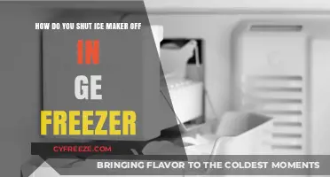 Troubleshooting GE Freezer: How to Disable the Ice Maker