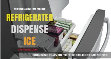 Chill Convenience: The Scoop on Bottom Freezer Ice Dispensers