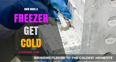 Understanding the Science Behind How Freezers Achieve and Maintain Cold Temperatures