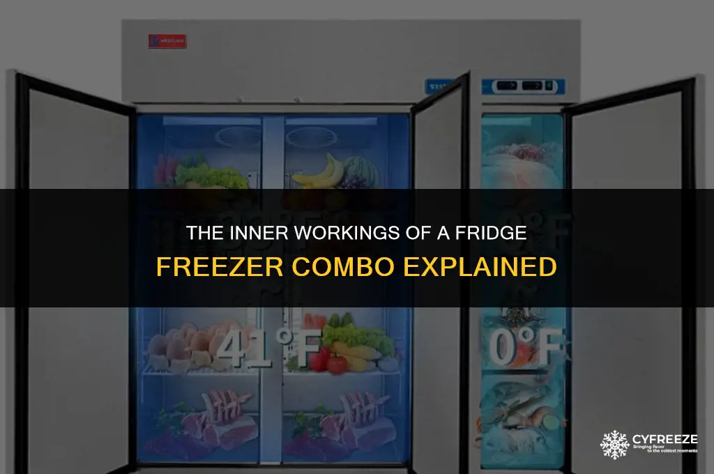 how does a fridge freezer combo work