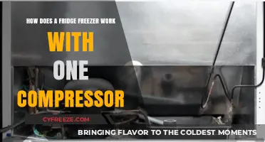 The Mechanics of Single-Compressor Fridge Freezers Explained