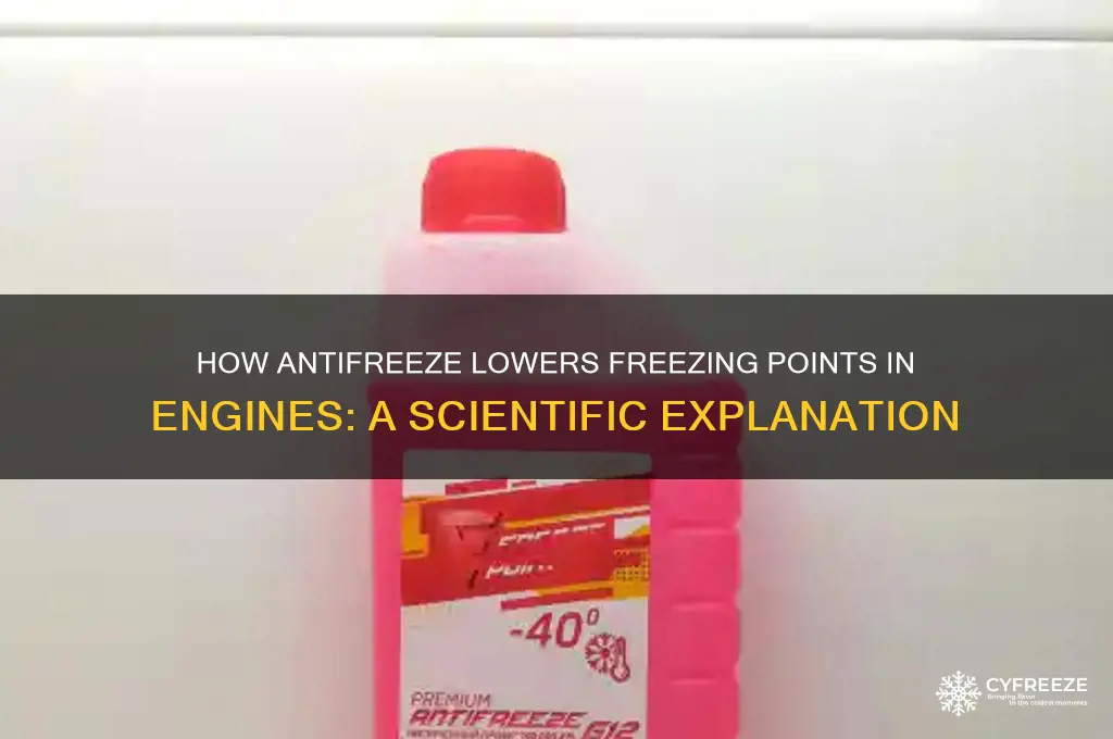 how does antifreeze work as a freezing point depression agent