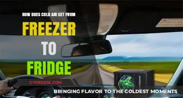 Chill Transfer: The Journey of Cold Air from Freezer to Fridge
