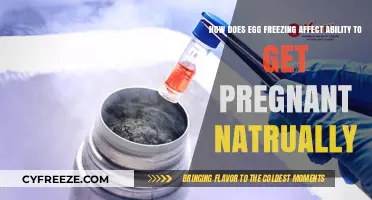 Egg Freezing Impact: Natural Pregnancy Chances Explained