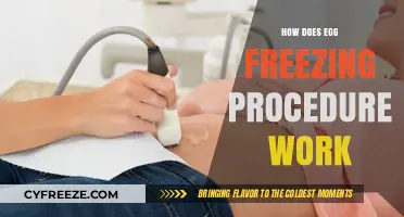 Understanding the Egg Freezing Process: A Step-by-Step Guide for Women