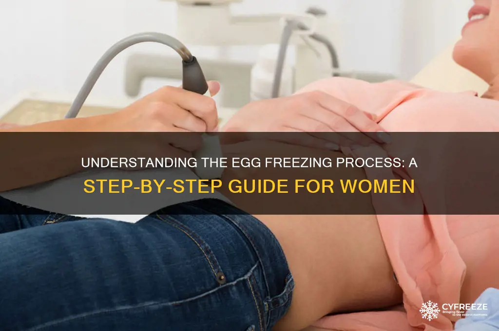 how does egg freezing procedure work