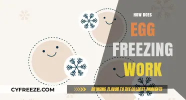 Understanding Egg Freezing: A Comprehensive Guide to the Process and Benefits