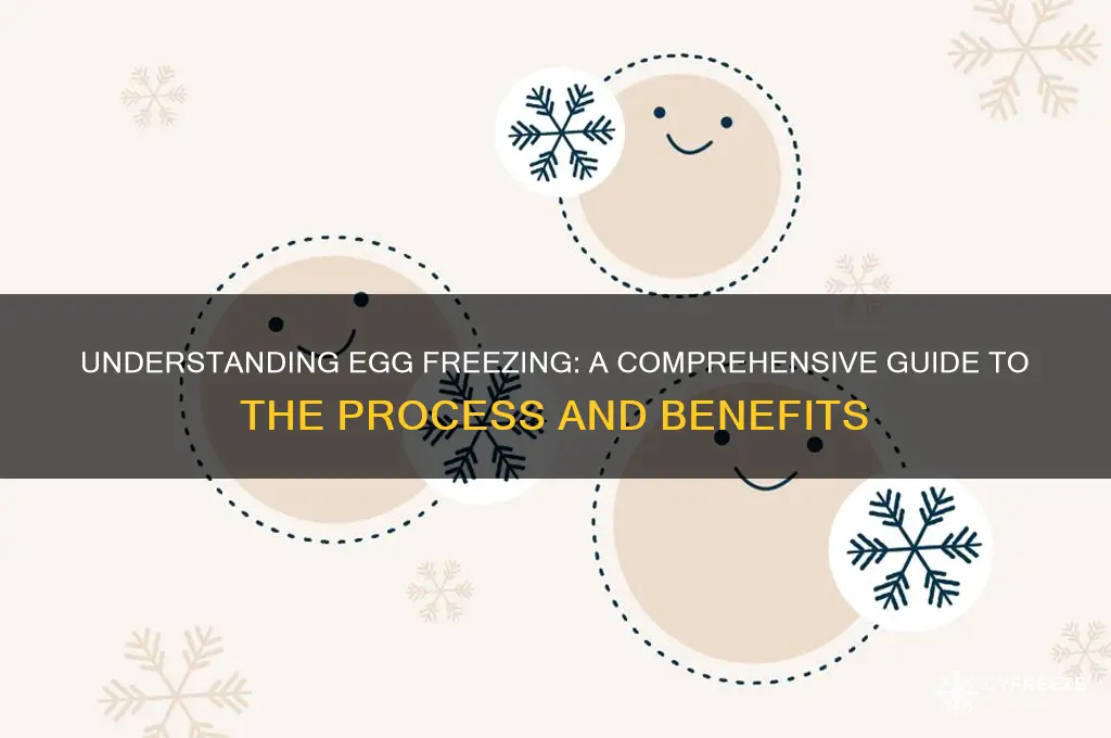 how does egg freezing work