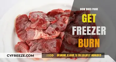 Understanding Freezer Burn: Causes, Prevention, and Impact on Food Quality
