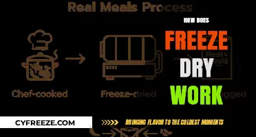 Unlocking the Secrets of Freeze-Drying: A Comprehensive Guide