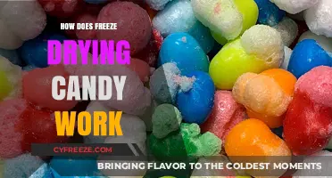 The Sweet Science Behind Freeze-Drying Candy: A Delicious Transformation