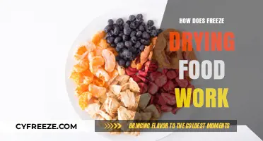 The Science Behind Freeze Drying: Preserving Food for the Future