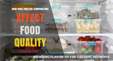 Freezer Temperature Impact: Preserving Food Quality and Freshness
