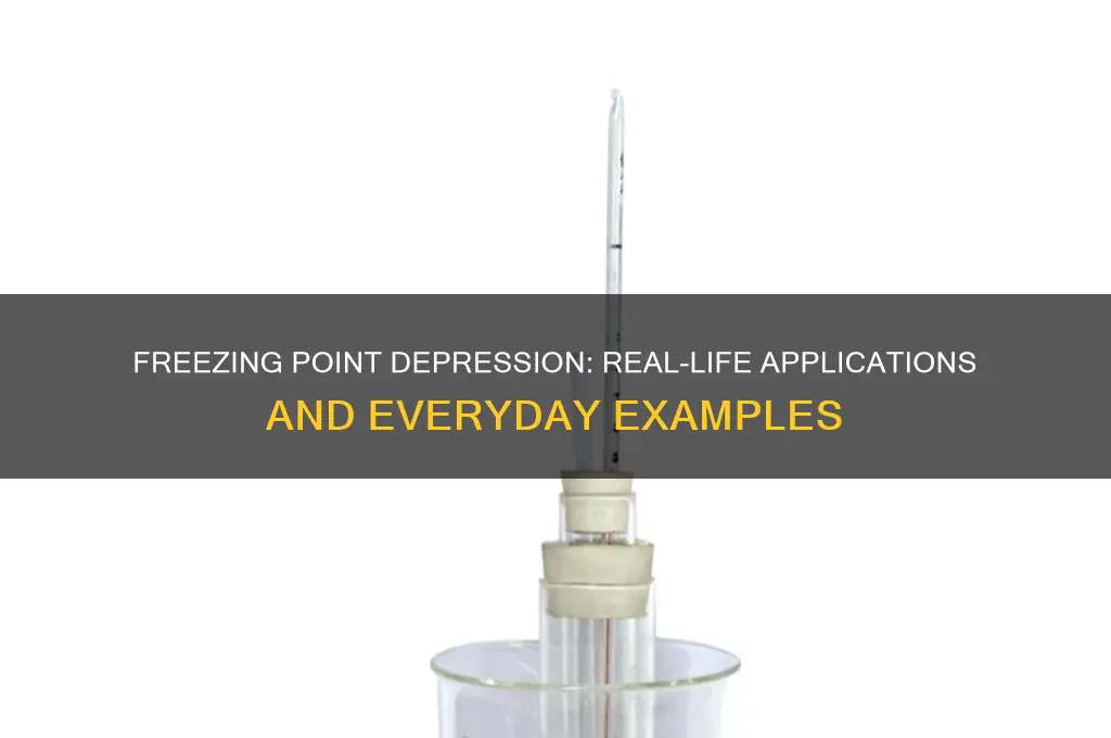 how does freezing point depression relate to real life