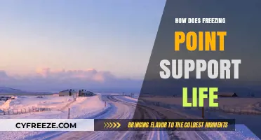 Freezing Point's Vital Role in Sustaining Life on Earth