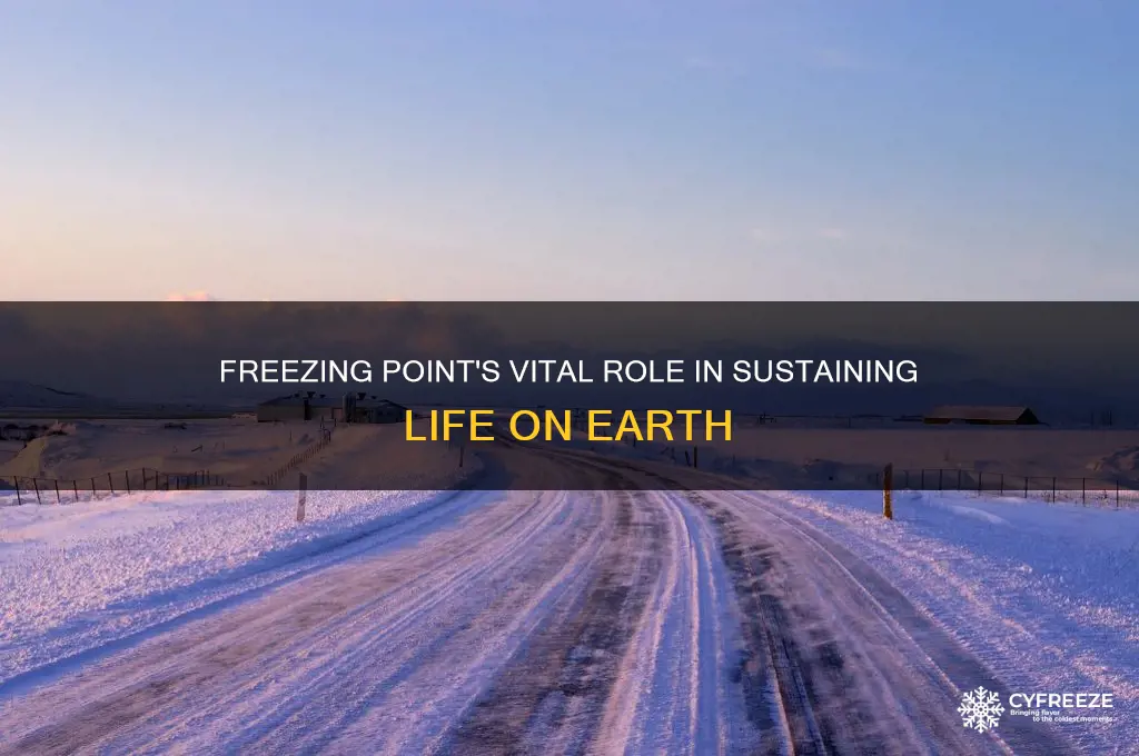 how does freezing point support life