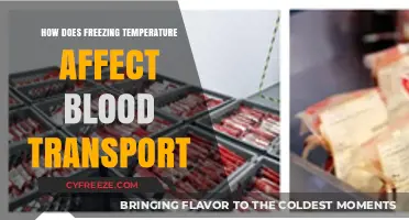 Freezing Temperatures' Impact on Blood Transport: Mechanisms and Effects