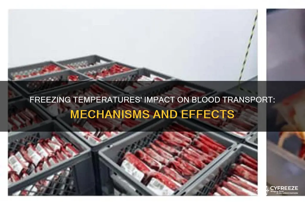 how does freezing temperature affect blood transport