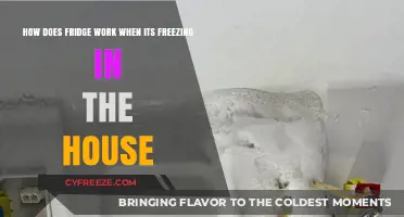 Chill Mechanics: Understanding Your Fridge in Freezing Temps