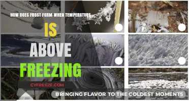 Frost Above Freezing: Unraveling the Surprising Science Behind Its Formation