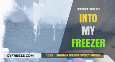 Why Frost Builds Up in Your Freezer and How to Stop It