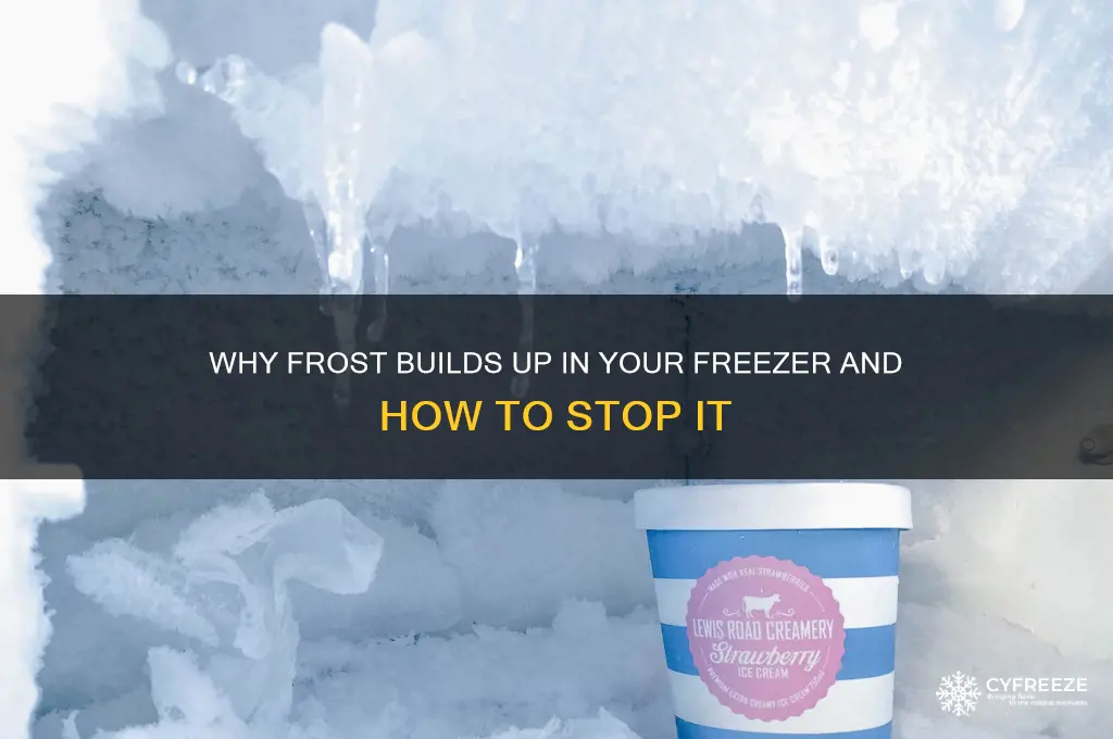how does frost get into my freezer