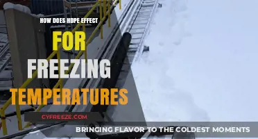 HDPE's Impact on Durability in Freezing Temperatures: A Comprehensive Guide