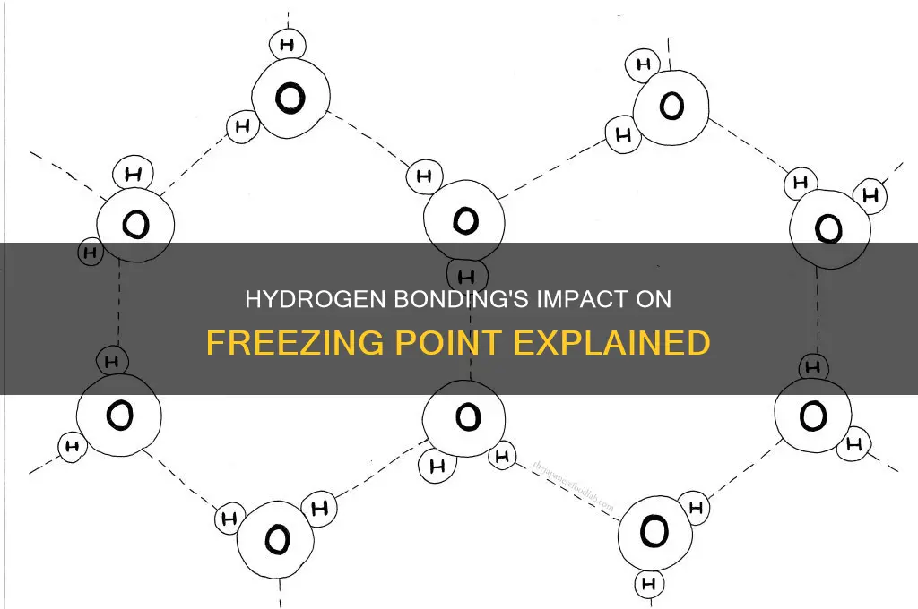 how does hydrogen bonding affect freezing point