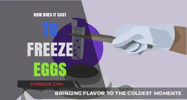 Egg Freezing Costs: What to Expect and How to Budget