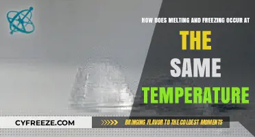 Melting and Freezing: The Science Behind Temperature Equilibrium
