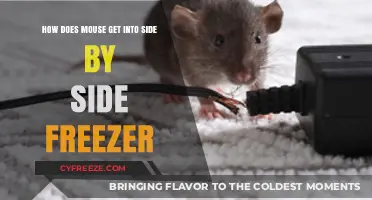 How Mice Sneak into Side-by-Side Freezers: Prevention Tips
