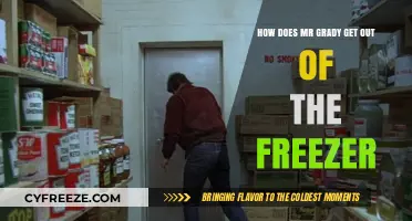 How Mr. Grady Escapes the Freezer: A Chilling Survival Story