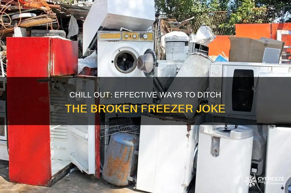 how does one get rid of a broken freezer joke