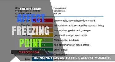 Salinity's Impact: How Salt Lowers Water's Freezing Point