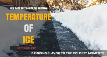 Salt's Impact: Lowering Ice's Freezing Point Explained Simply