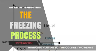 Temperature's Impact on Freezing: Understanding the Science Behind the Process