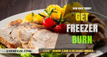 Understanding Freezer Burn: Causes and Prevention for Turkey Storage