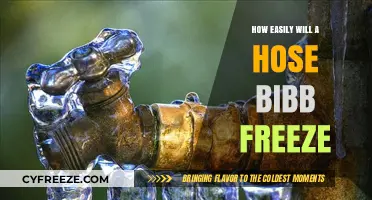 Winterizing Your Home: Preventing Hose Bibbs from Freezing
