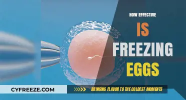 Freezing Eggs: A Reliable Fertility Preservation Option for Modern Women?